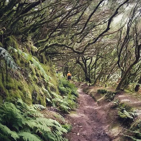 דירה Acogedor En