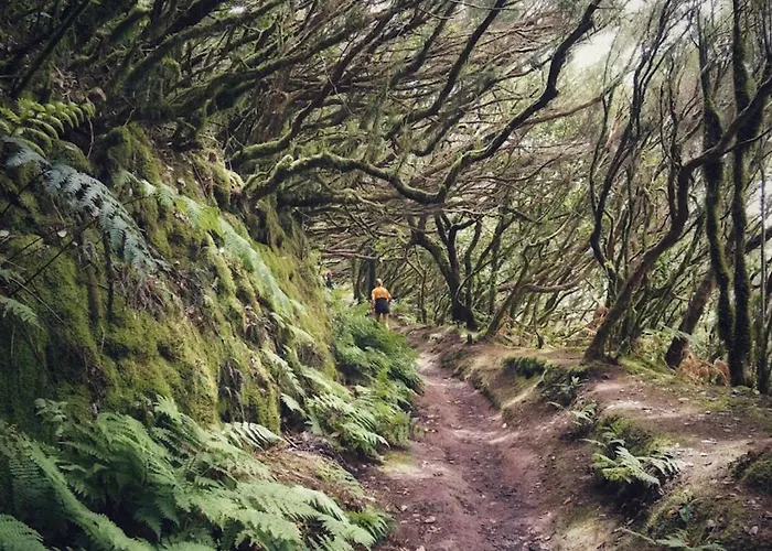 Διαμέρισμα Acogedor En